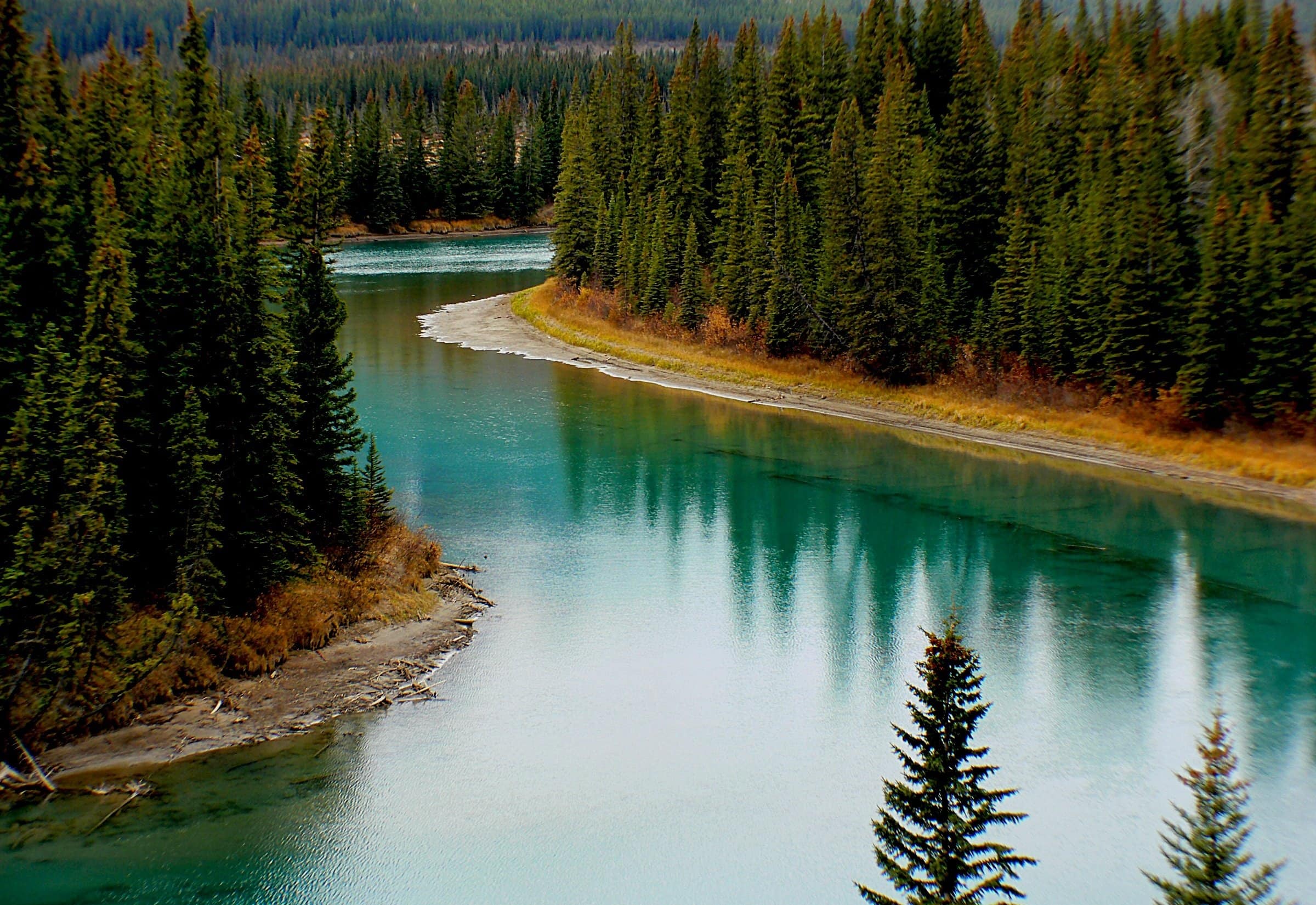 11/01/2016 – Alberta