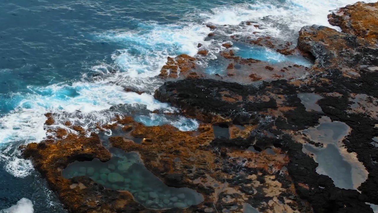 April 2019 – Waimea