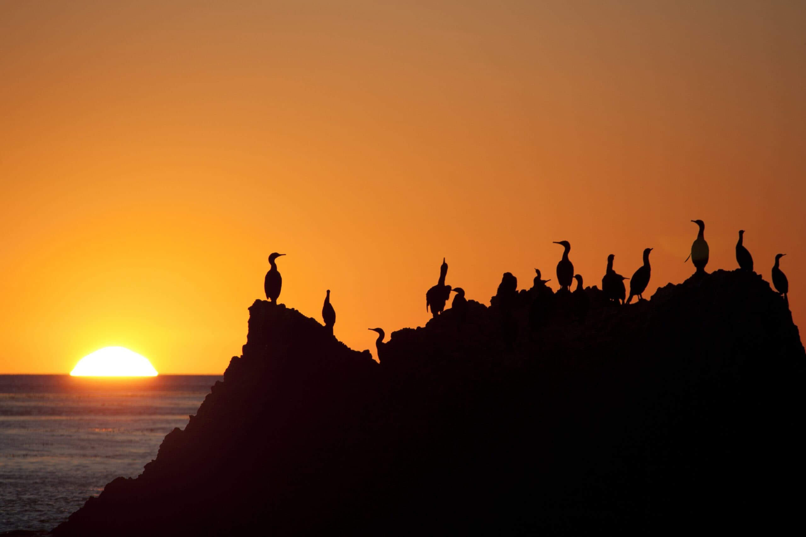 Spring 2016 – Malibu